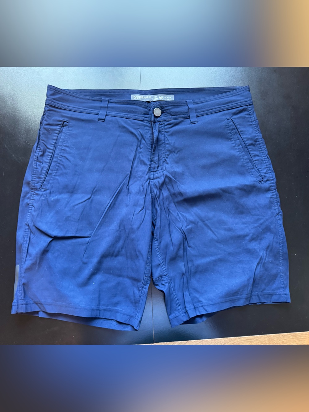 Icebreaker Deep Blue Men's merino blend Technical Shorts - 36